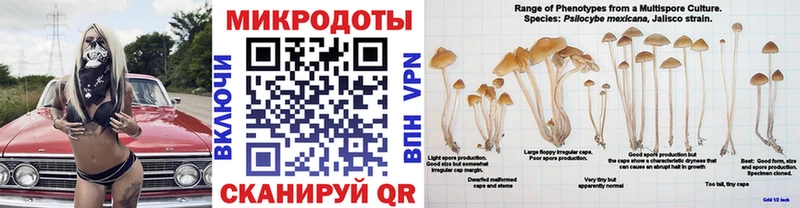 Псилоцибиновые грибы Magic Shrooms цена Ржев